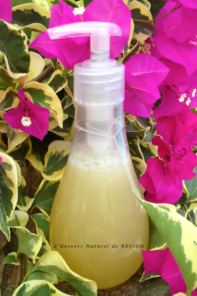 Shampoing anti-chute