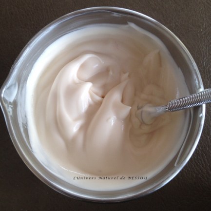 CREME MANGUE JOJOBA HIBISCUS