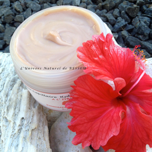 MASQUE CAPILLAIRE HIBISCUS