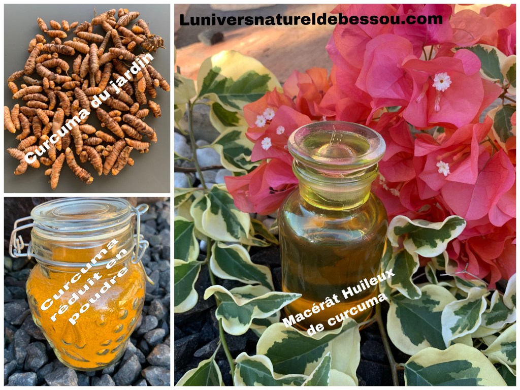 🌿 Macérât huileux de Curcuma: L&rsquo;Élixir Naturel pour une Peau&nbsp;Radieuse